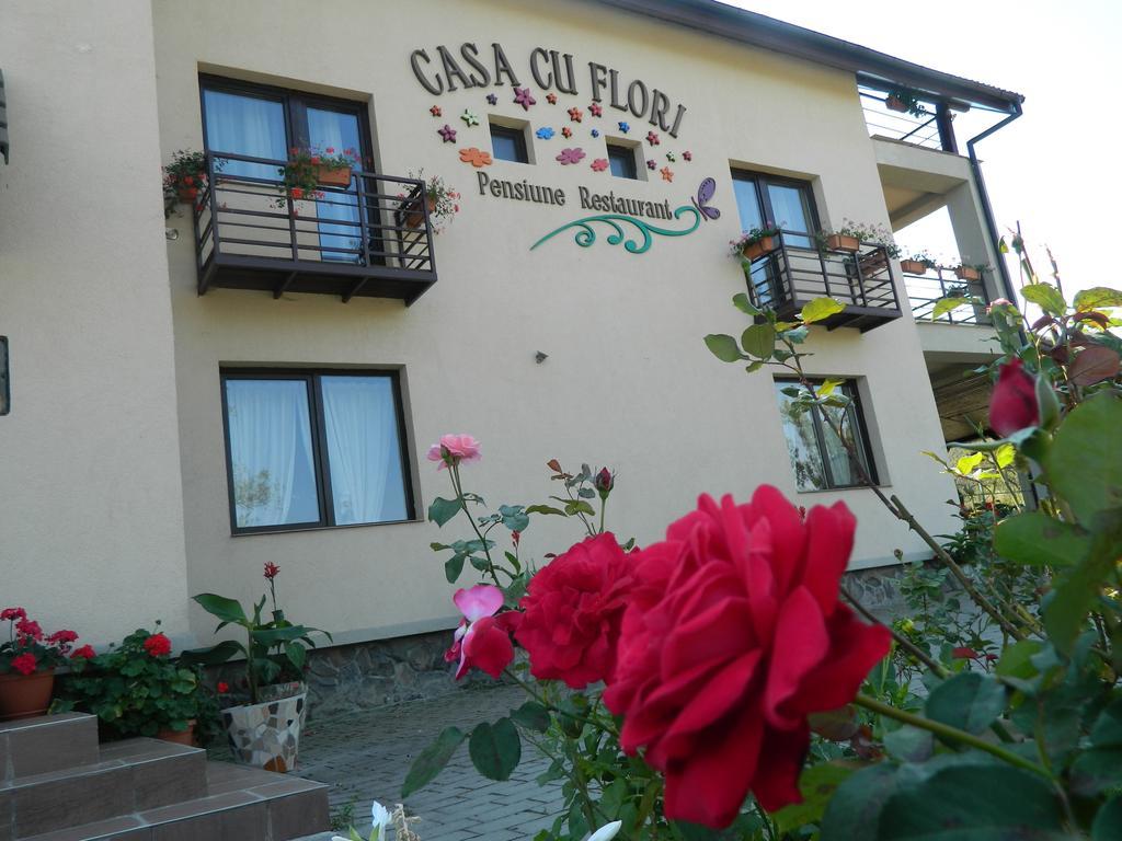 צ'יסנודיוארה Pensiunea Casa Cu Flori מראה חיצוני תמונה