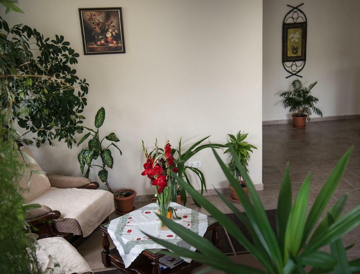 צ'יסנודיוארה Pensiunea Casa Cu Flori מראה חיצוני תמונה